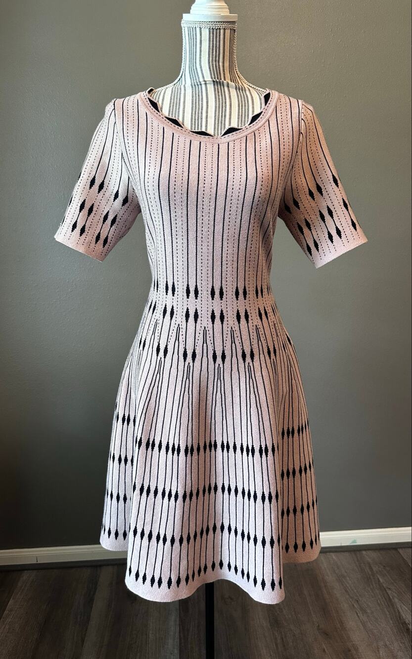 Taylor Pink Black Striped Fit Flare Knit Dress Size L
